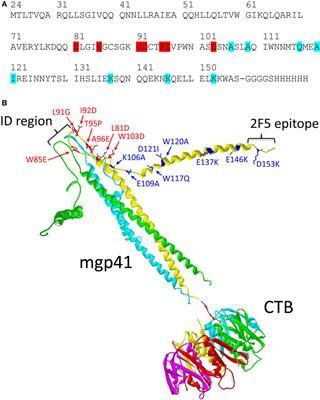 Sublingual Priming with a HIV gp41-Based Subunit Vaccine Elicits Mucosal Antibodies and Persistent B Memory Responses in Non-Human Primates